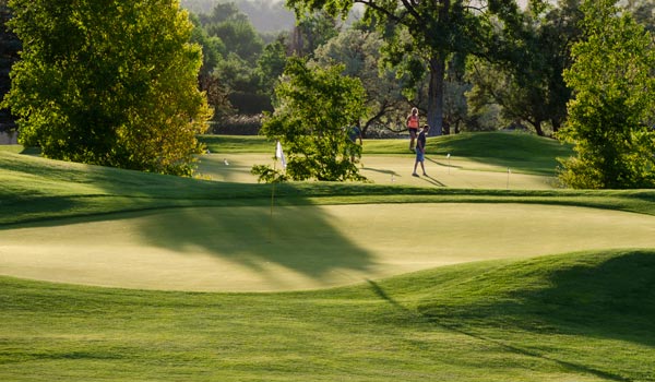 Golf Outings